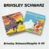 BRINSLEY SCHWARZ / DESPITE IT ALL