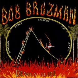 BOB BROZMAN DEVIL'S SLIDE Фирменный CD 