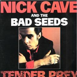 NICK CAVE AND THE BAD SEEDS TENDER PREY Виниловая пластинка 