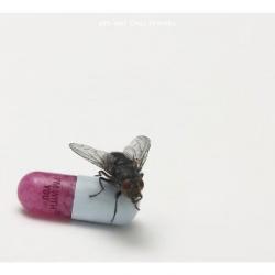 RED HOT CHILI PEPPERS I'M WITH YOU Фирменный CD 