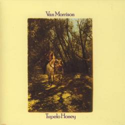VAN MORRISON TUPELO HONEY Фирменный CD 
