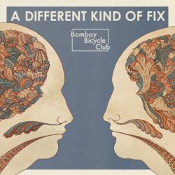 BOMBAY BICYCLE CLUB A DIFFERENT KIND OF FIX Виниловая пластинка 