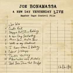 JOE BONAMASSA A NEW DAY YESTERDAY LIVE Виниловая пластинка 