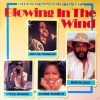 Blowing In The Wind - 16 Original Superhits Of The 60's