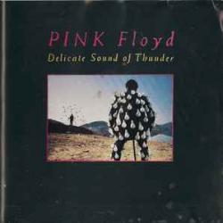 PINK FLOYD Delicate Sound Of Thunder Фирменный CD 