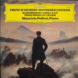 SCHUBERT Wanderer-Fantasie / Klaviersonate A-moll D. 845 - Piano Sonata In A Minor Виниловая пластинка 