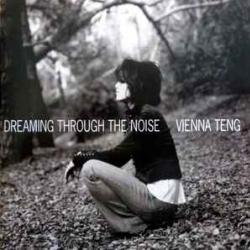 VIENNA TENG DREAMING THROUGH THE NOISE Фирменный CD 