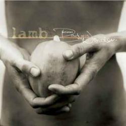 LAMB BETWEEN DARKNESS AND WONDER Фирменный CD 