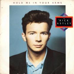 RICK ASTLEY HOLD ME IN YOUR ARMS Виниловая пластинка 