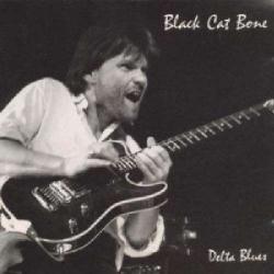 BLACK CAT BONE DELTA BLUES Виниловая пластинка 