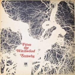 STRAWBS FROM THE WITCHWOOD Виниловая пластинка 