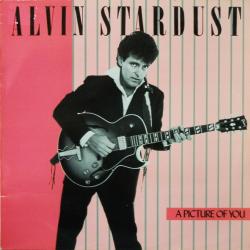 ALVIN STARDUST A PICTURE OF YOU Виниловая пластинка 