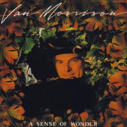 VAN MORRISON A Sense Of Wonder Фирменный CD 