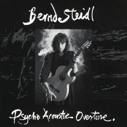BERND STEIDL Psycho Acoustic Overture Фирменный CD 