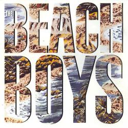 BEACH BOYS Beach Boys Виниловая пластинка 