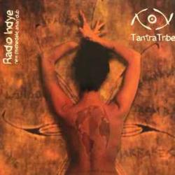TANTRA TRIBE RADIO INDYE (NEW PSYCHEDELIC ASIAN DUB) Фирменный CD 