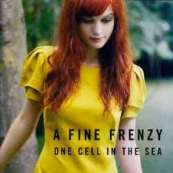 A FINE FRENZY ONE CELL IN THE SEA Фирменный CD 