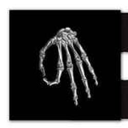 THE SADE GRAVE Виниловая пластинка 