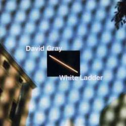 DAVID GRAY WHITE LADDER Фирменный CD 