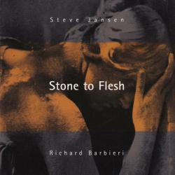 Steve Jansen / Richard Barbieri Stone To Flesh Фирменный CD 
