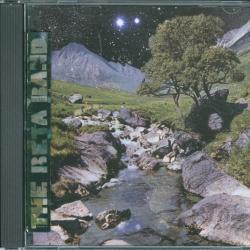 The Beta Band The Beta Band Фирменный CD 