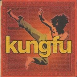 KUNGFU Glaskugelsammelbehälterkasten Фирменный CD 