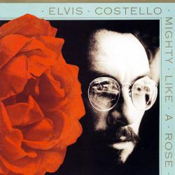 ELVIS COSTELLO MIGHTY LIKE A ROSE Фирменный CD 