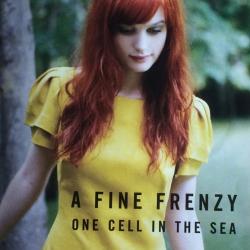 A FINE FRENZY ONE CELL IN THE SEA Фирменный CD 