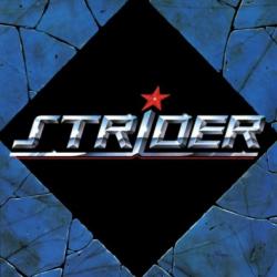 Strider Strider Виниловая пластинка 