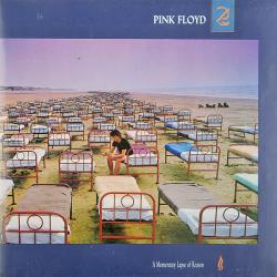 PINK FLOYD A MOMENTARY LAPSE OF A REASON Виниловая пластинка 