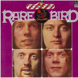 RARE BIRD Attention! Rare Bird! Виниловая пластинка 