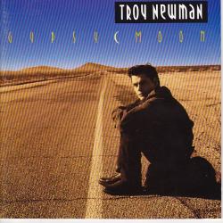TROY NEWMAN GYPSY MOON Фирменный CD 
