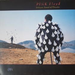 PINK FLOYD DELICATE SOUND OF THUNDER Виниловая пластинка 