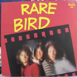 RARE BIRD RARE BIRD Виниловая пластинка 