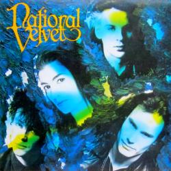 National Velvet National Velvet Виниловая пластинка 