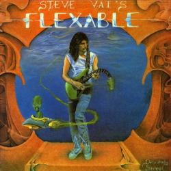 STEVE VAI Flex-Able Виниловая пластинка 