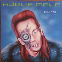ROGUE MALE First Visit Виниловая пластинка 