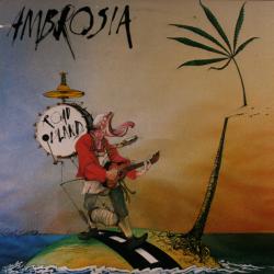 AMBROSIA Road Island Виниловая пластинка 