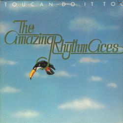 The Amazing Rhythm Aces Toucan Do It Too Виниловая пластинка 