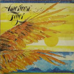 American Flyer American Flyer Виниловая пластинка 