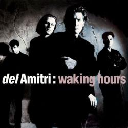 DEL AMITRI WALKING HOURS Виниловая пластинка 