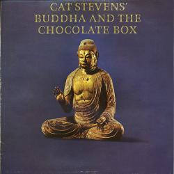 CAT STEVENS BUDDHA AND THE CHOCOLATE BOX Виниловая пластинка 