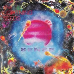 LIGHTNING SEEDS SENSE Фирменный CD 