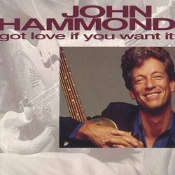 JOHN HAMMOND Got Love If You Want It Фирменный CD 