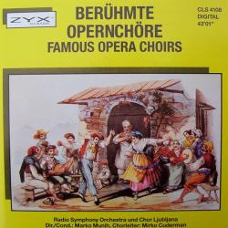 Radio Symphony Orchestra Famous Opera Choirs Фирменный CD 