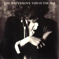 The Waterboys This Is The Sea Фирменный CD 