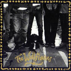 WALLFLOWERS The Wallflowers Фирменный CD 