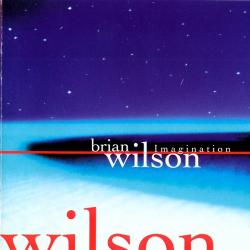 BRIAN WILSON Imagination Фирменный CD 