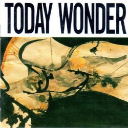 Ed Kuepper Today Wonder Фирменный CD 