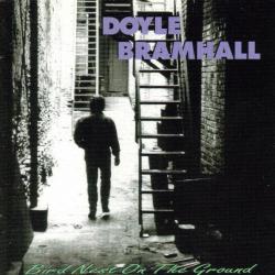 Doyle Bramhall Bird Nest On The Ground Фирменный CD 